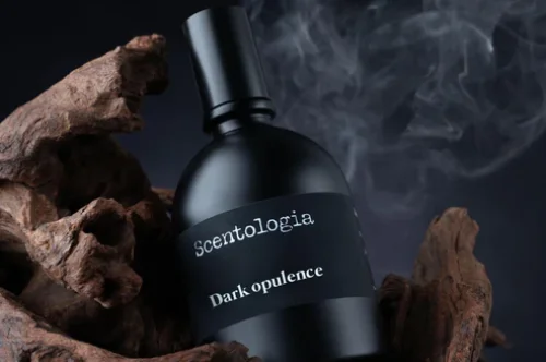 What is Lorem Ipsum?