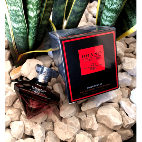 Brand Collection 203 - Inspiração LA NUIT TRÉSOR A LÁ FOLIE (Feminino) - EDP - 25ml